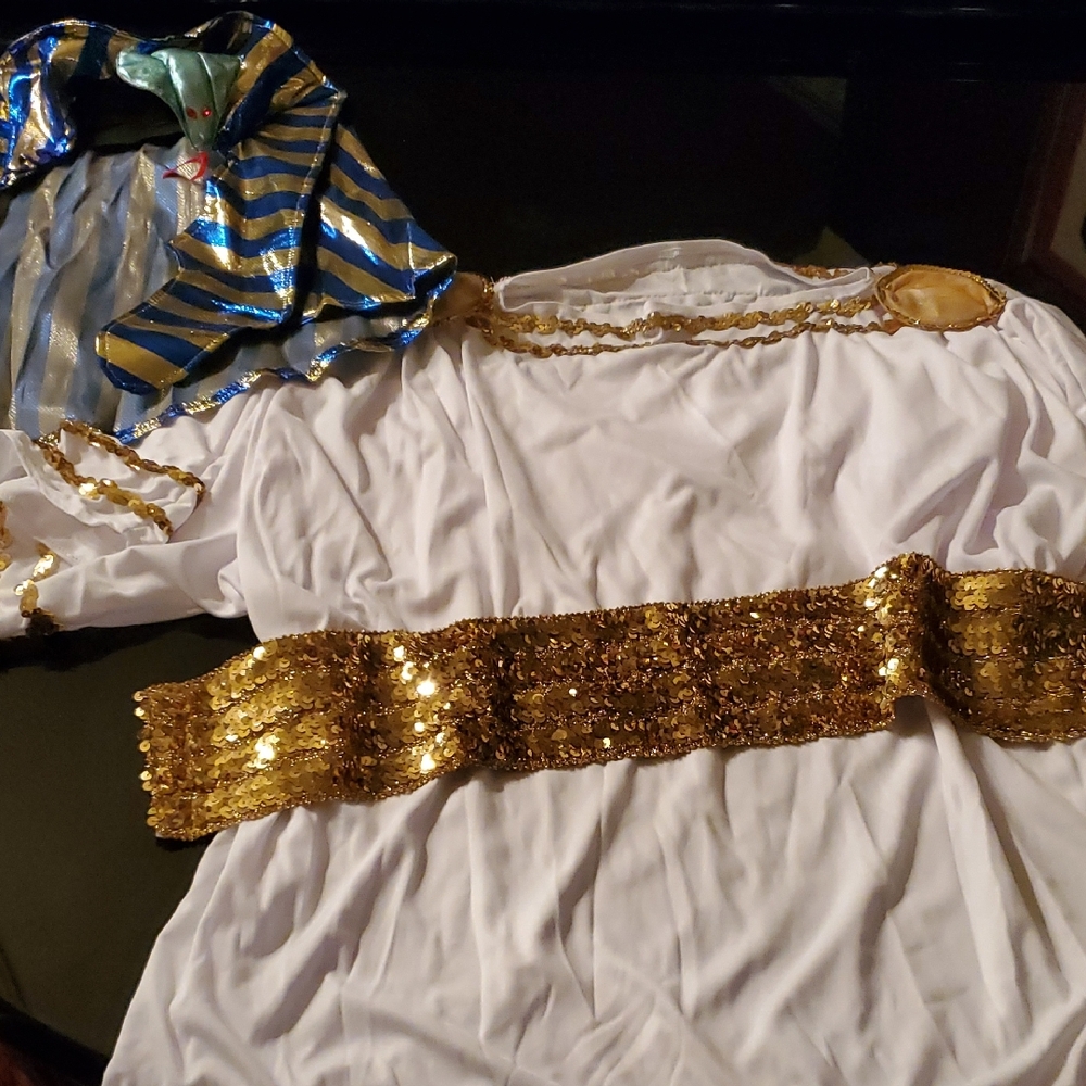 Adult Pharaoh Costume with Gold and Blue Accents